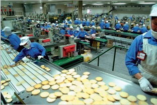 食品安全从自动化包装流水线抓起